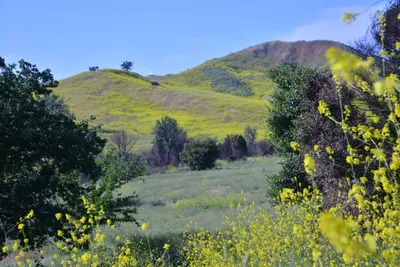 DSC_6140 (Large).JPG